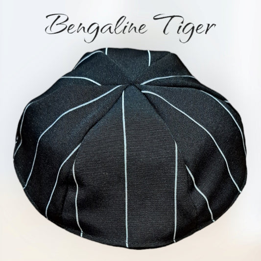 Bengaline Zebra Skullcap